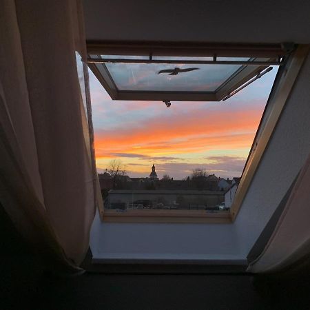 Ferienwohnung Oelzschau - Urlaub Im Leipziger Neuseenland Rötha 외부 사진