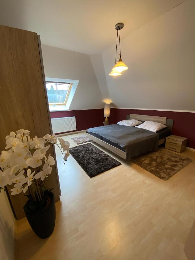 Ferienwohnung Oelzschau - Urlaub Im Leipziger Neuseenland Rötha 외부 사진